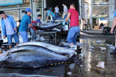 Vietnam tuna exports are not likely to recover in 2021