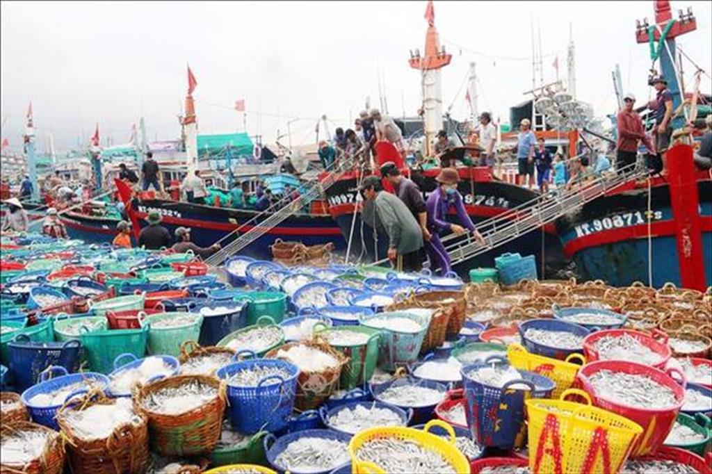 Total fishery production in January 2023 is estimated at 592.1 thousand tons