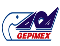 GEPIMEX 404 COMPANY