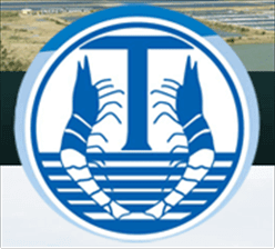 THONG THUAN COMPANY LIMITED